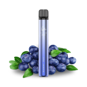 Elfbar 600 V2 - Blueberry