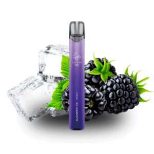 Elfbar 800 - Blackberry Ice